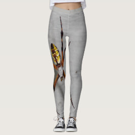 Faktisk spiderfotobild på ben leggings