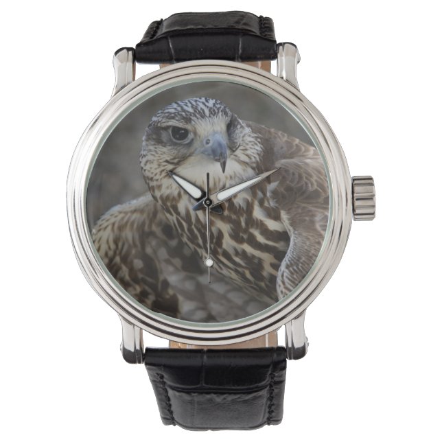 Falco cherrug armbandsur (Framsida)