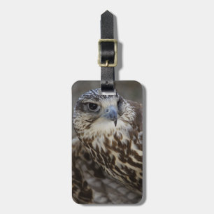 Falco cherrug bagagebricka