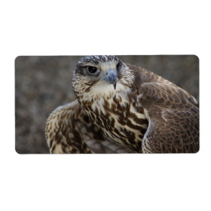Falco cherrug fraktsedel