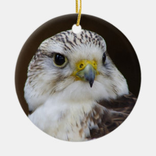Falco cherrug Porträtt Julgransprydnad Keramik