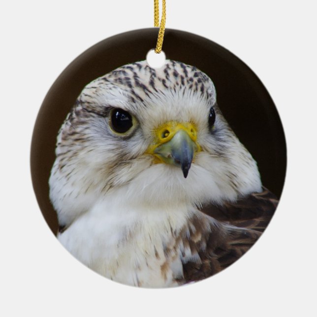 Falco cherrug Porträtt Julgransprydnad Keramik (Framsidan)