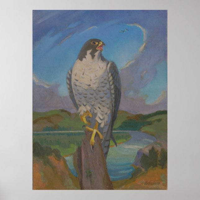 Falco Peregrinus - Peregrine Falcon av Kulhanek Poster (Framsidan)