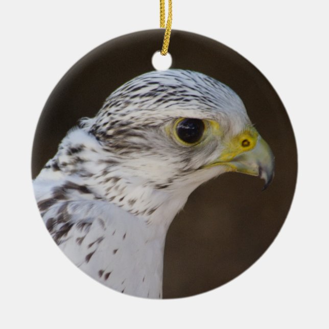 Falco rusticolus julgransprydnad keramik (Framsidan)