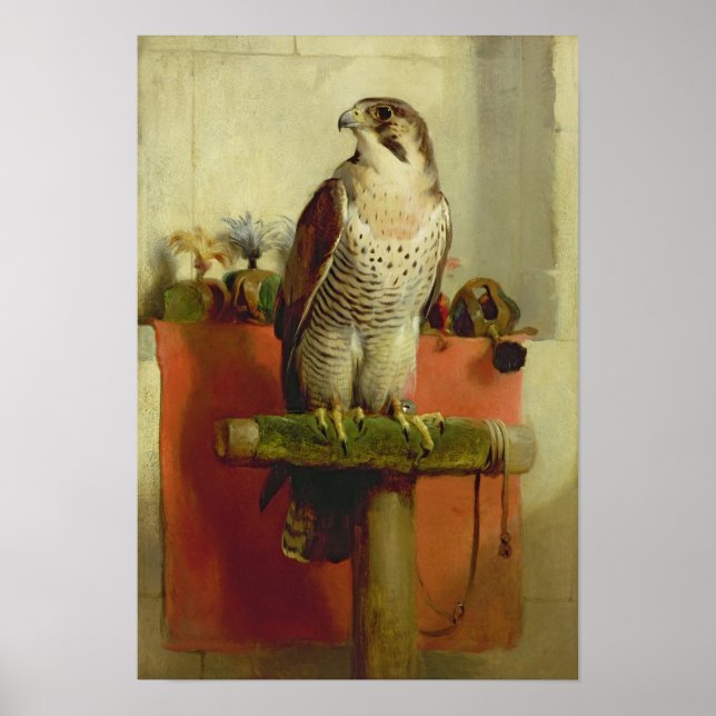 Falcon 1837 poster (Framsidan)