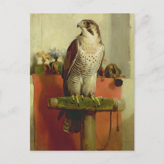 Falcon 1837 vykort (Framsida)