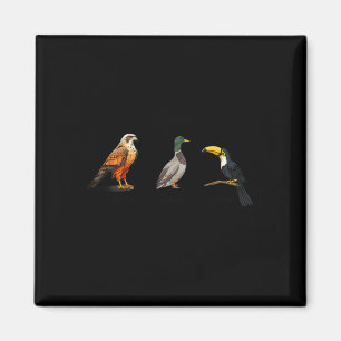 Falcon Anka Toucan Birds Subtle Anti Trump 1 Magnet