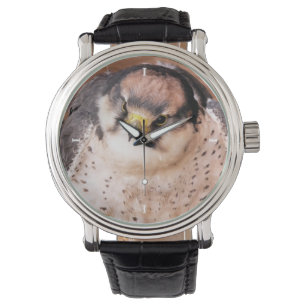 FALCON ARMBANDSUR