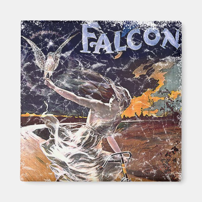 Falcon Bicycle - störd Magnet (Framsidan)