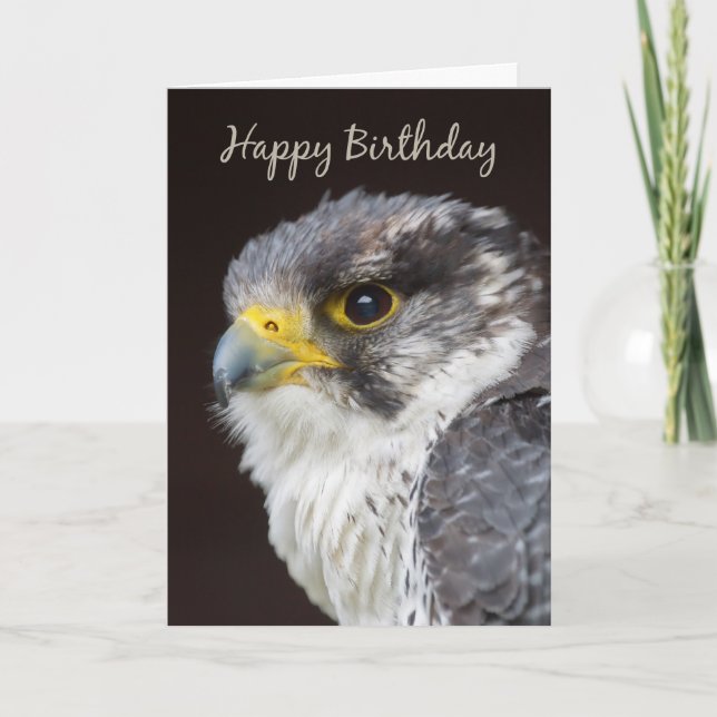 Falcon Birthday Greeting Card - Vild Falcon Bird O Kort (Framsida)