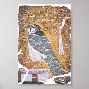 Falcon blk poster