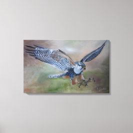 Falcon Canvastryck