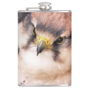 FALCON FICKPLUNTA