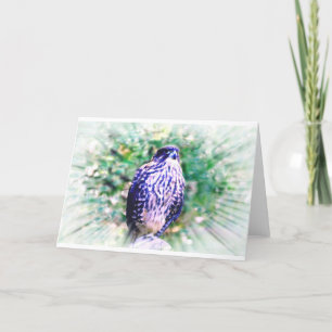 Falcon Greeting Card Kort