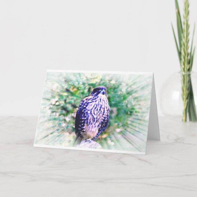 Falcon Greeting Card Kort (Framsida)