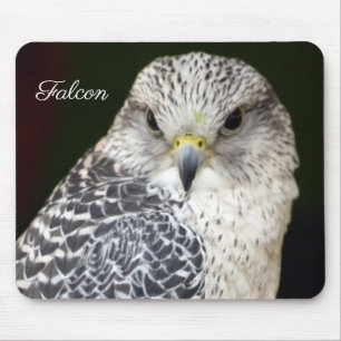 Falcon Musmatta