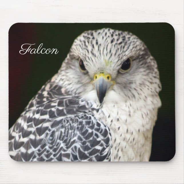 Falcon Musmatta (Framsidan)