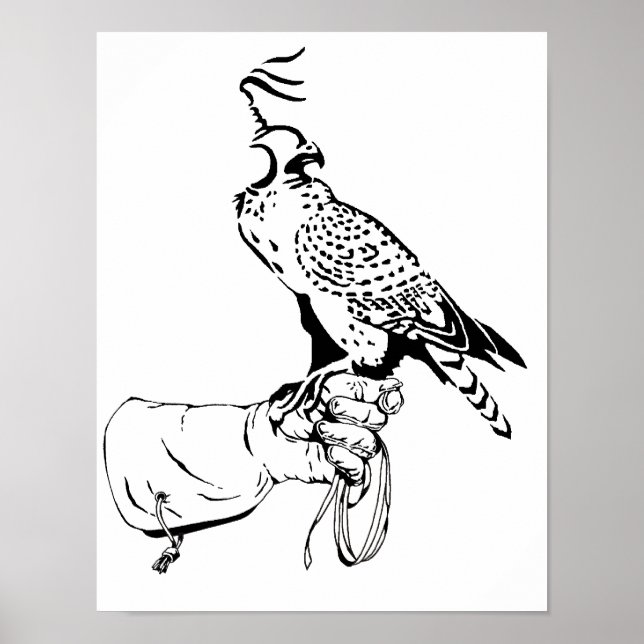 Falcon on Glove Poster (Framsidan)