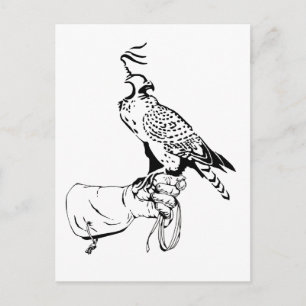 Falcon på handskvykort vykort