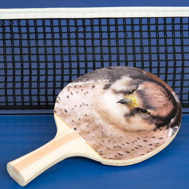 FALCON PINGISRACKET (Insitu)