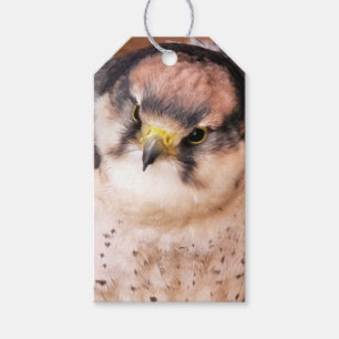 FALCON PRESENTETIKETT