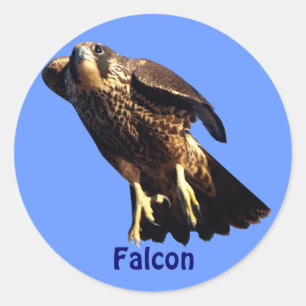 Falcon Raptor Birdlovers Wildlife Sticker Runt Klistermärke