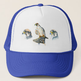 Falconry Cap Keps