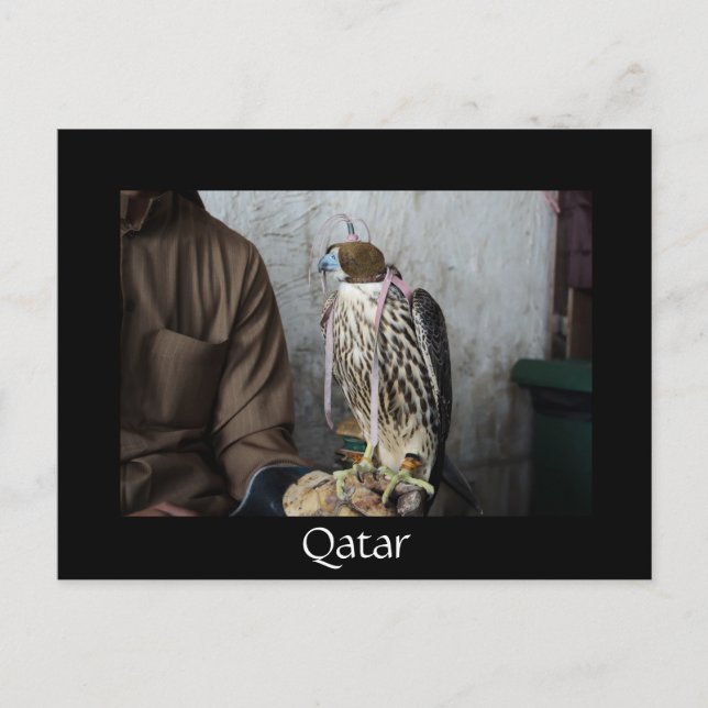Falconry falcon black Qatar vycard Vykort (Framsida)