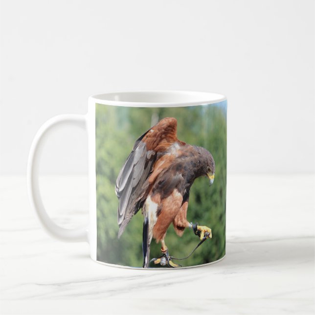 Falconry, Jees Harris Hawk Kaffemugg (Vänster)
