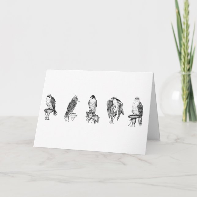 Falconry Studies Birthday Card Kort (Framsida)
