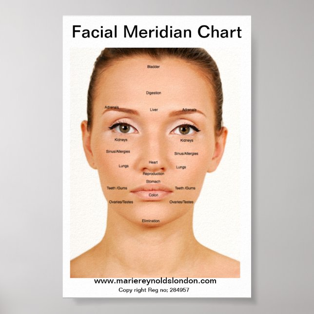 Falise Meridian Diagram Poster (Framsidan)