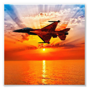Falk för stridighet F-16 Fototryck