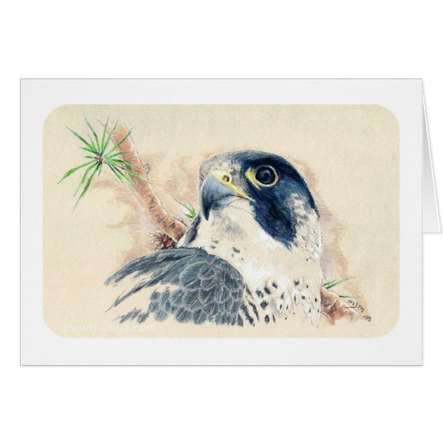 Falk Hälsningskort (Framsidan Horizontal)