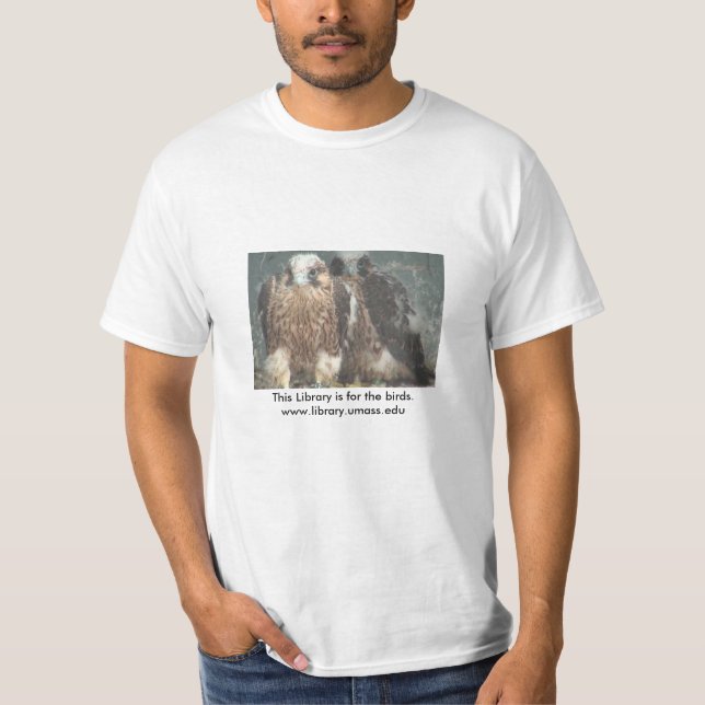 Falken klassificerar av 2014 tee (Framsida)