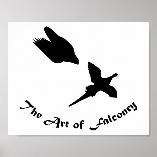 Falkeneringskonst-Pilgrimsfalk Poster (Framsidan)