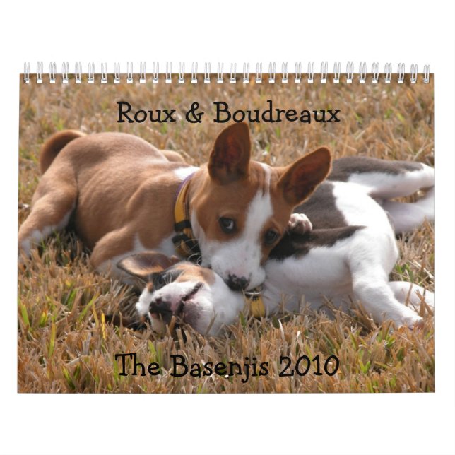 FalkfotografiBasenji kalender 2010 (Omslag)