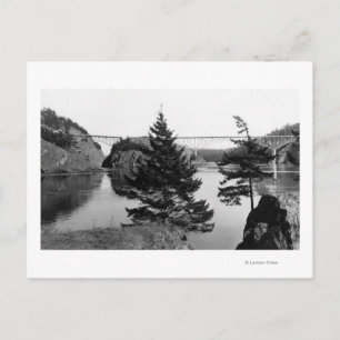 Falklamsbrygga, Washington View Photograf 2 Vykort