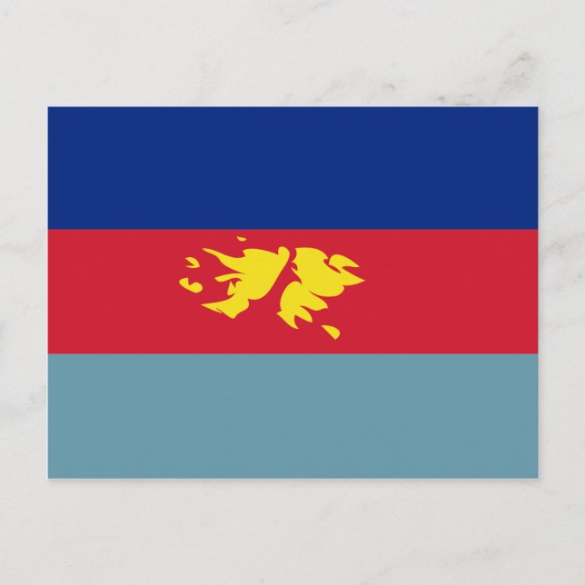 Falklandsöarna (Malvinas), Flagga FK för försvar Vykort (Framsida)