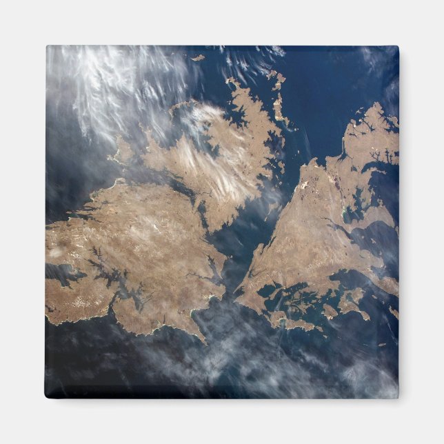 Falklandsöarna (ön Malvinas). Magnet (Framsidan)