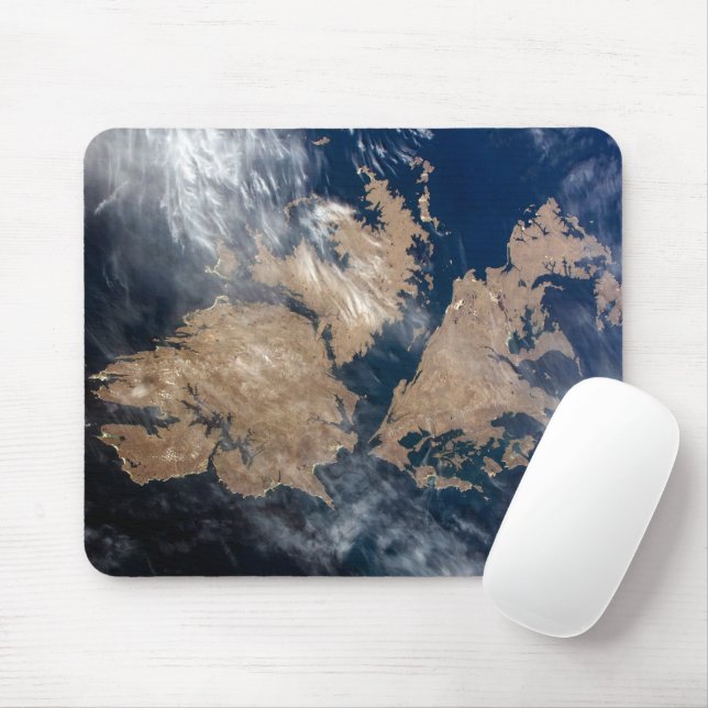 Falklandsöarna (ön Malvinas). Musmatta (Med mus)
