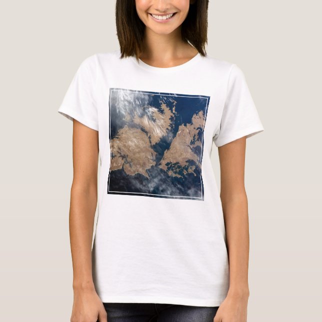 Falklandsöarna (ön Malvinas). T Shirt (Framsida)
