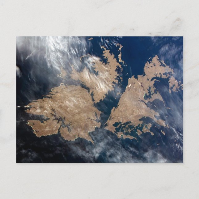 Falklandsöarna (ön Malvinas). Vykort (Framsida)