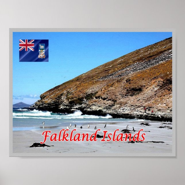 Falklandsöarna Poster (Framsidan)