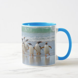 Falklandsöarna. Saunders Island. Gentoo Mugg