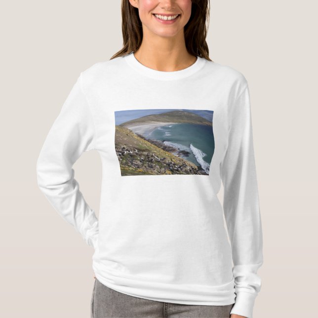 Falklandsöarna, Västra Falkland, Saunders Tee (Framsida)