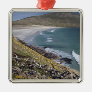 Falklandsöarna, West Falkland, Saunders Julgransprydnad Metall