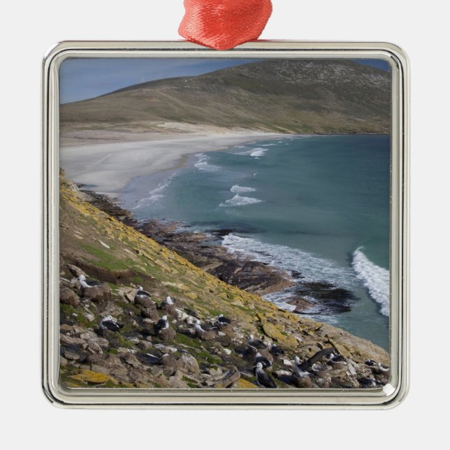 Falklandsöarna, West Falkland, Saunders Julgransprydnad Metall (Framsidan)