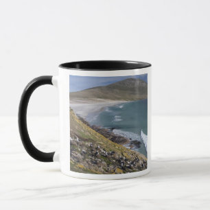 Falklandsöarna, West Falkland, Saunders Mugg