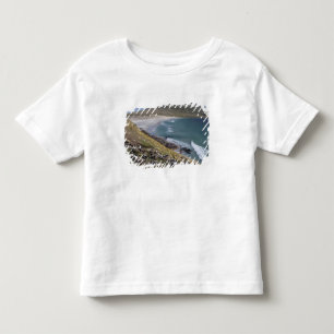 Falklandsöarna, West Falkland, Saunders T-shirt