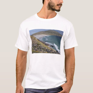Falklandsöarna, West Falkland, Saunders Tee